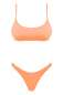 Preview: Bikini Mexico Beach coral