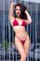 Preview: Bikini-Set CR4449 rot rot 2-7056 Preview: Bikini-Set CR4449 rot rot 2-7056