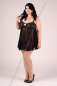 Preview: Chemise E/2005 Preview: Chemise E/2005