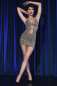 Preview: Leopard-Minikleid CR4487 Preview: Leopard-Minikleid CR4487