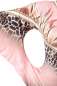 Preview: Raffiniertes Minikleid Preview: Raffiniertes Minikleid
