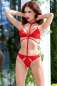 Preview: Spitzen-Set CR4633 rot rot 2-7425 Preview: Spitzen-Set CR4633 rot rot 2-7425