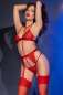 Preview: Spitzen-Set CR4713 rot rot 2-7532 Preview: Spitzen-Set CR4713 rot rot 2-7532