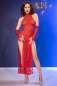 Preview: Spitzenkleid CR4853 rot Preview: Spitzenkleid CR4853 rot